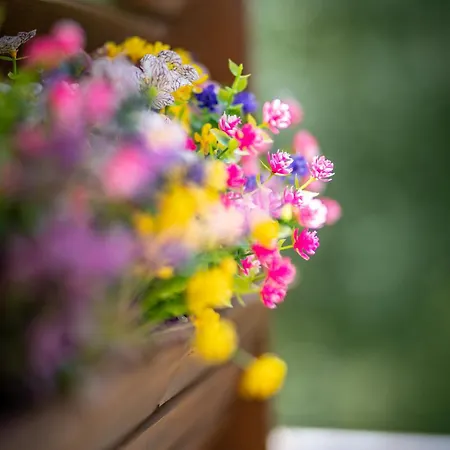 Lägenhet Serenite Pres Du *