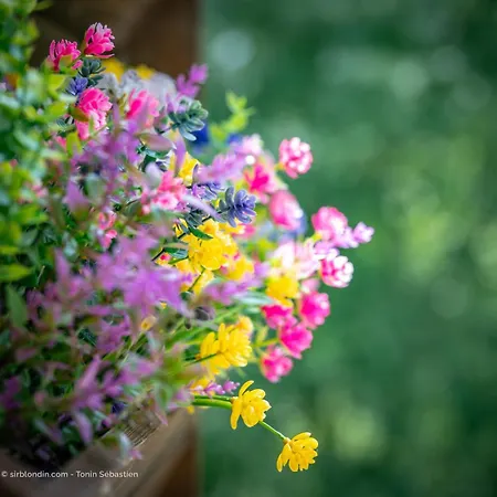 公寓 Serenite Pres Du *