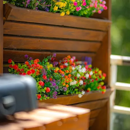 Serenite Pres Du * Aix-les-Bains