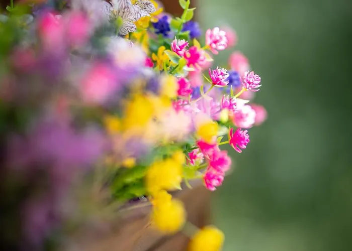 Apartment Serenite Pres Du *