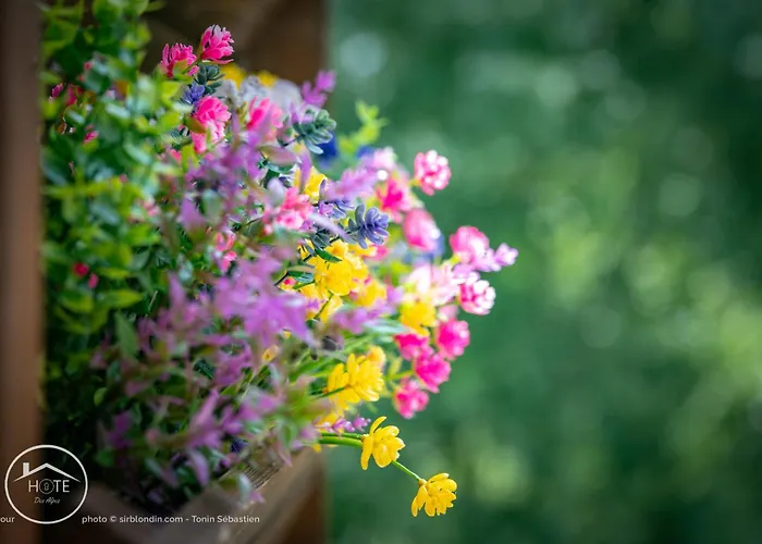 Apartment Serenite Pres Du *