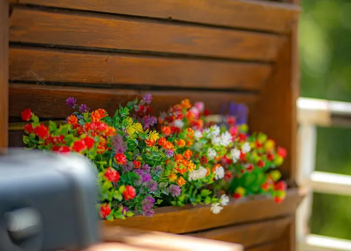 Serenite Pres Du * Aix-les-Bains